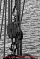 /album/serie-en-devenir-/a2011-02-26-fecamp-macros-16-bb-1-jpg1/